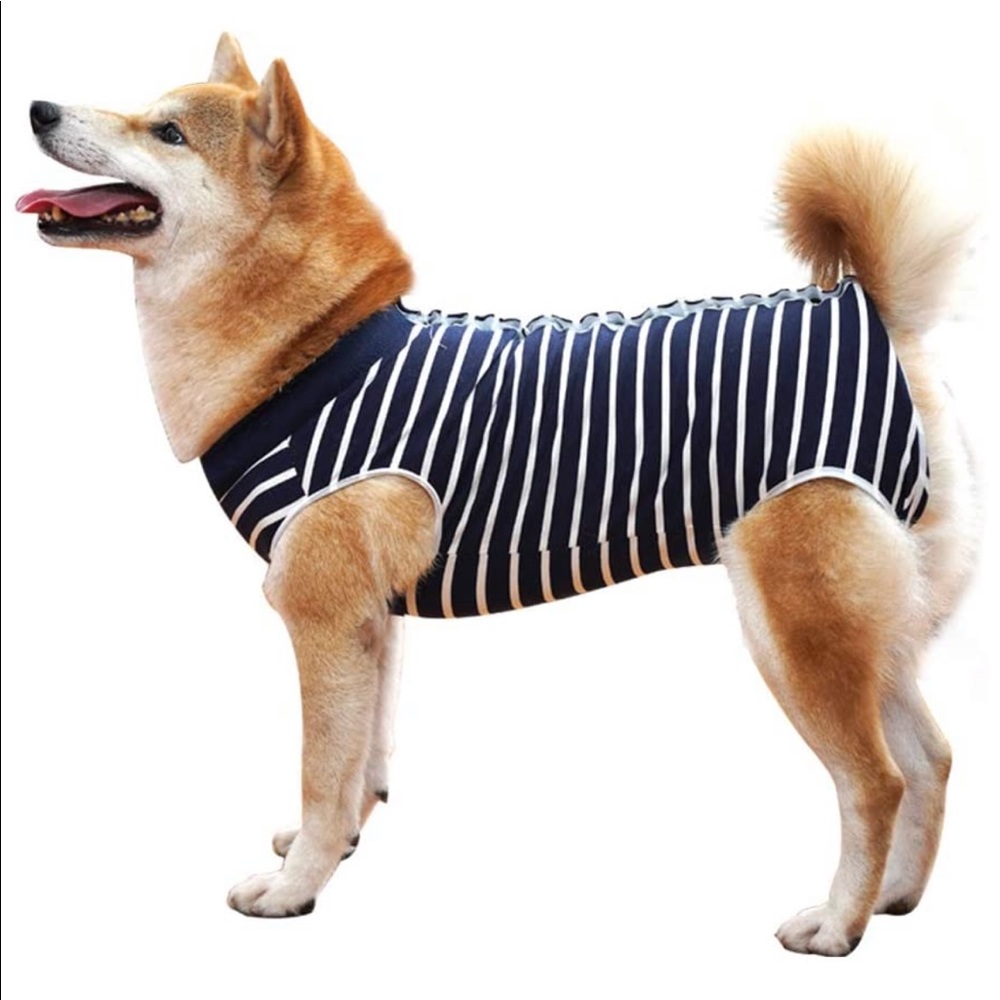 Dog surgical onesie